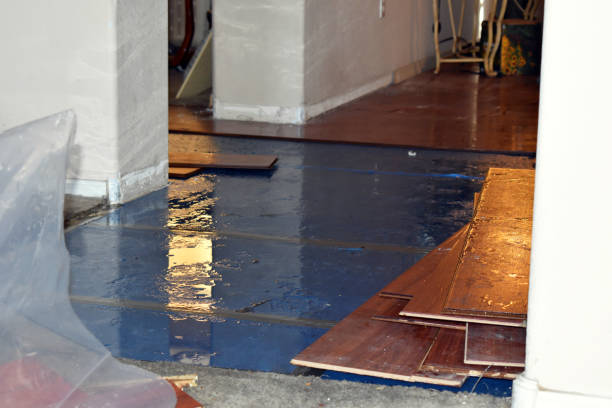 Professional Sewage Cleanup technician working in South Hamilton, MA